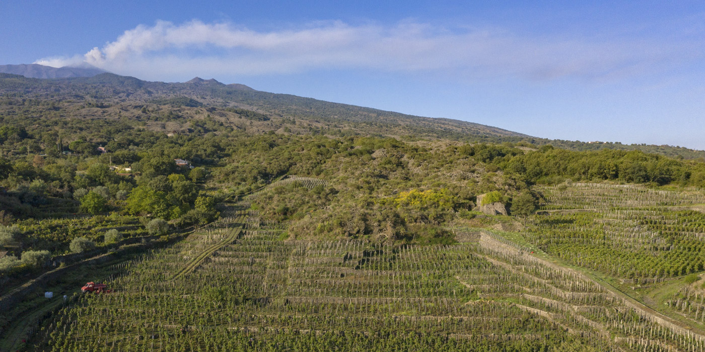 Cantina Benanti